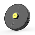 Lowe Noise Smart Powerful Suction Lds Robot Vacuum Cleaner Laser 2700PA with Self Empty Dust Bin on Smart Screen